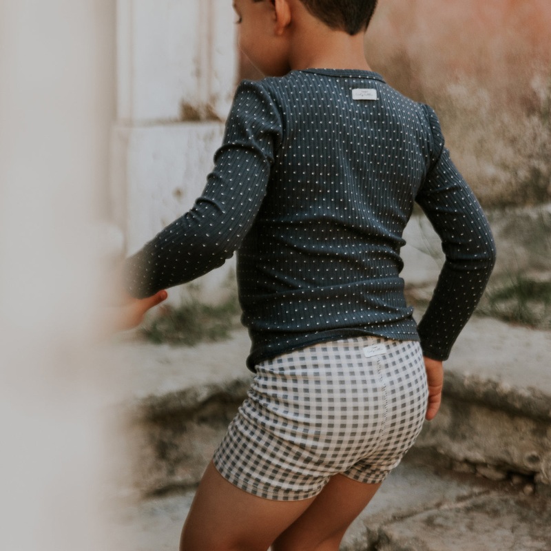 The Printed Short  – Steel Gingham