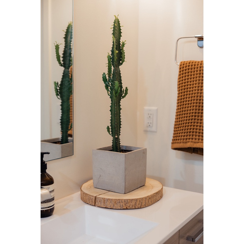 Cement Square Catchpot