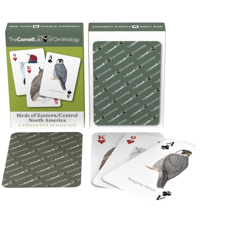 Birds of Eastern/Central North America Playing Cards