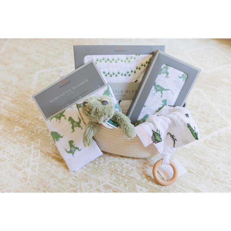 Welcome Baby Boy – Dinosaur Gift Basket