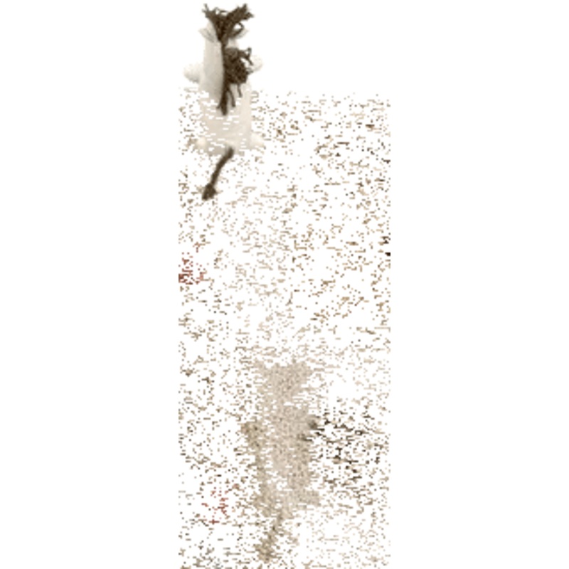 PLAY RUG PATH OF NATURE|120 x 160 cm|Natural