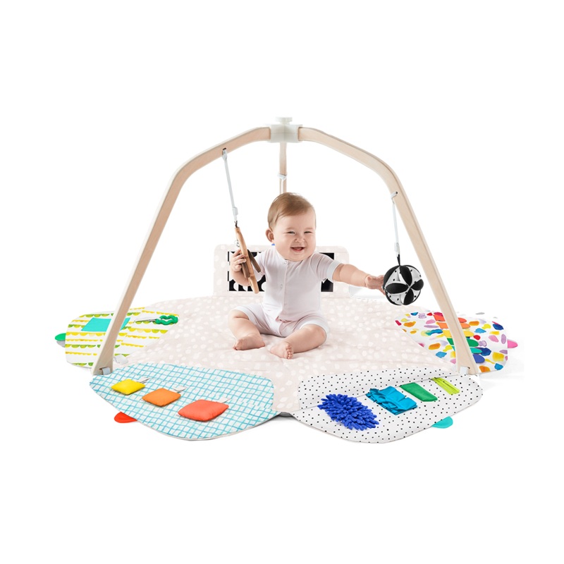 The Play Gym