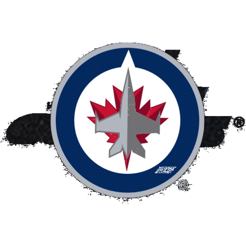 Customizable NHL Whatever It Takes Camp Flag  NHL x Oxford Pennant