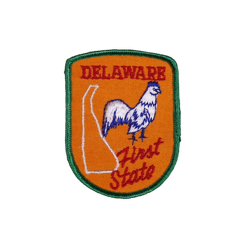Vintage Delaware Embroidered Patch