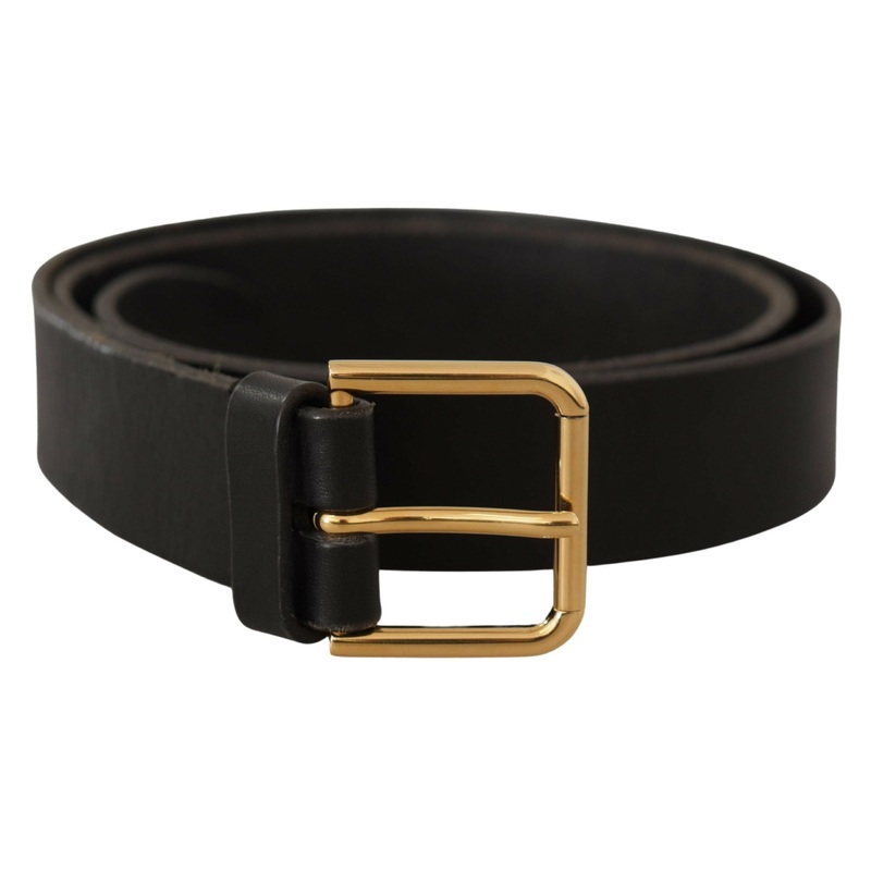 Dolce & Gabbana Brown Gold Metal Logo Buckle Calf Leather Belt