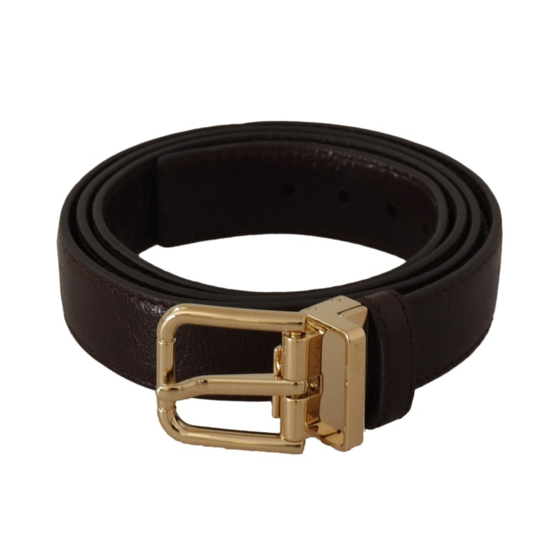 Dolce & Gabbana Brown Leather Gold Metal Buckle Belt