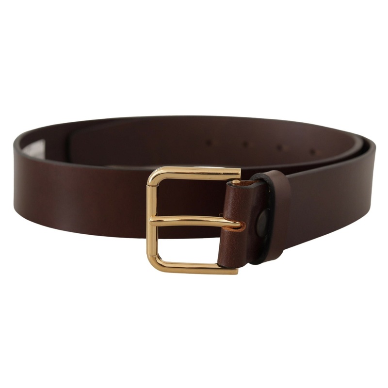 Dolce & Gabbana Brown Plain Calf Leather Gold Tone Buckle Belt