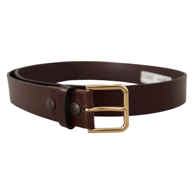 Dolce & Gabbana Brown Polished Leather Gold Tone Metal Buckle Belt